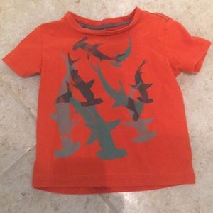 Tea collection 18-24 months T-shirt sharks toddler